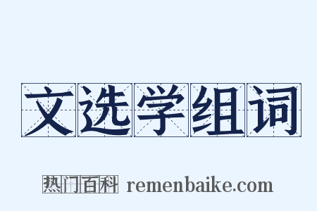 文选学组词是什么意思的图片